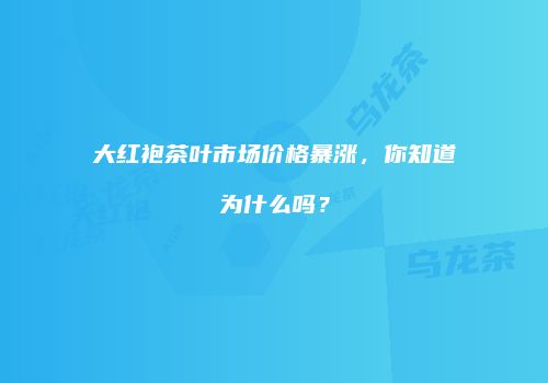 大红袍茶叶市场价格暴涨，你知道为什么吗？