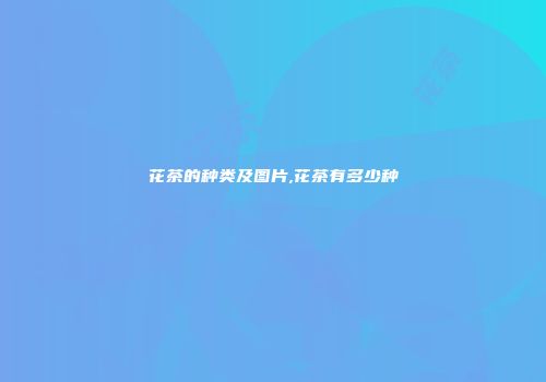花茶的种类及图片,花茶有多少种