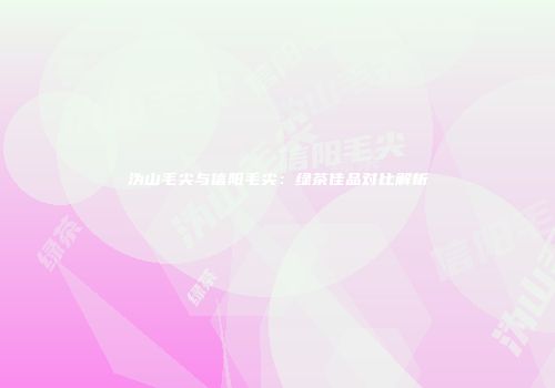 沩山毛尖与信阳毛尖：绿茶佳品对比解析