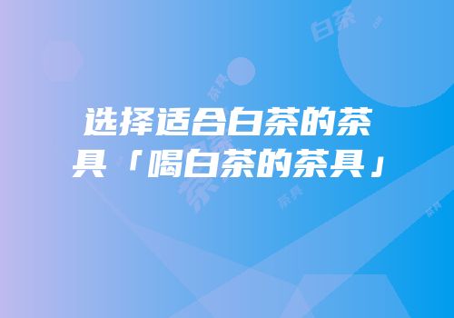 选择适合白茶的茶具「喝白茶的茶具」