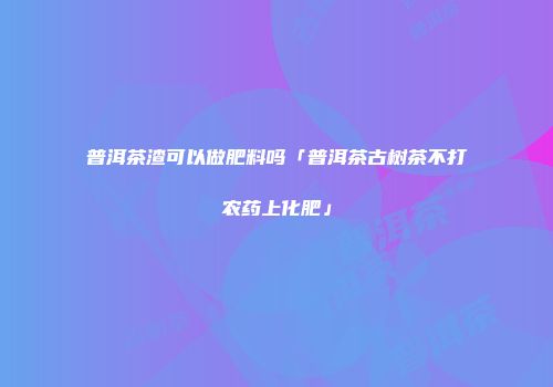 普洱茶渣可以做肥料吗「普洱茶古树茶不打农药上化肥」