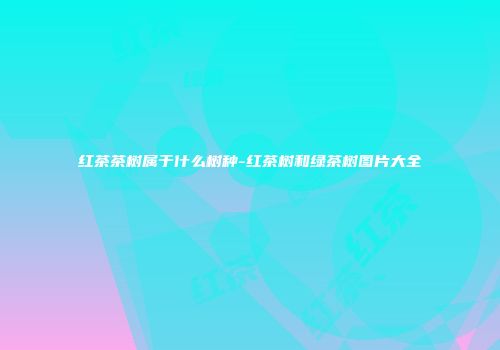 红茶茶树属于什么树种-红茶树和绿茶树图片大全