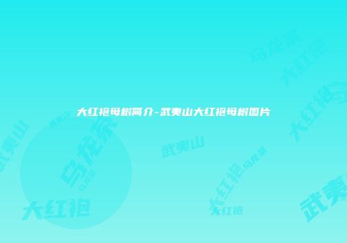 大红袍母树简介-武夷山大红袍母树图片