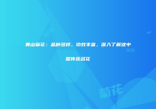 黄山菊花：品种多样，功效丰富，深入了解这中国传统名花