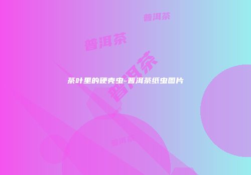 茶叶里的硬壳虫-普洱茶纸虫图片