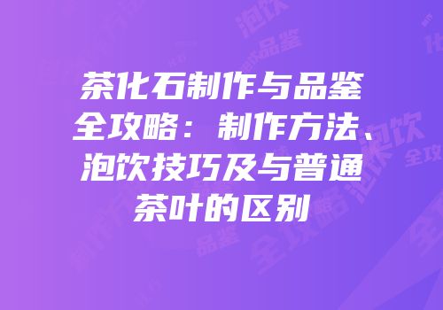 茶化石制作与品鉴全攻略：制作方法、泡饮技巧及与普通茶叶的区别