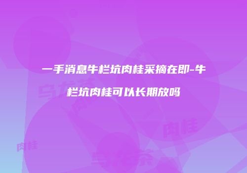 一手消息牛栏坑肉桂采摘在即-牛栏坑肉桂可以长期放吗
