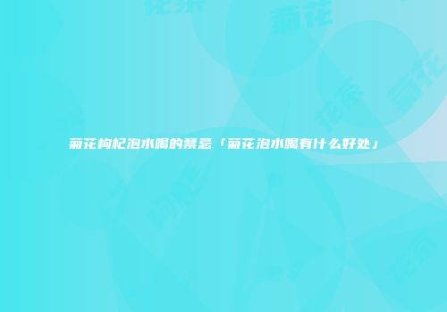 菊花枸杞泡水喝的禁忌「菊花泡水喝有什么好处」