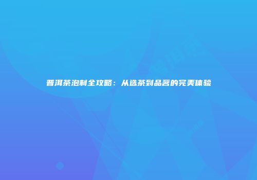 普洱茶泡制全攻略：从选茶到品茗的完美体验