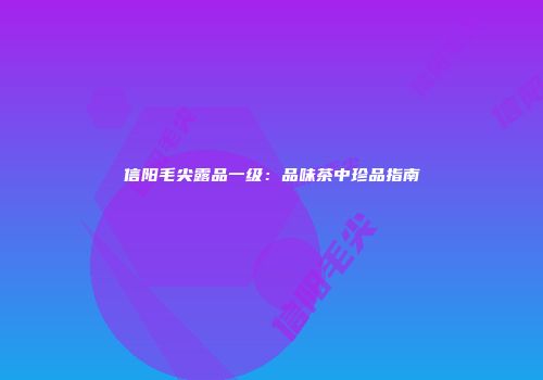 信阳毛尖露品一级：品味茶中珍品指南