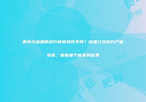 贵州与福建的茶叶种植有何不同？详细介绍茶叶产业现状，看看哪个省更有前景