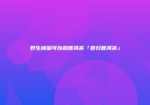 野生蜂蜜可以和普洱茶「昔归普洱茶」
