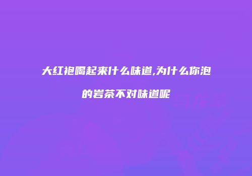 大红袍喝起来什么味道,为什么你泡的岩茶不对味道呢