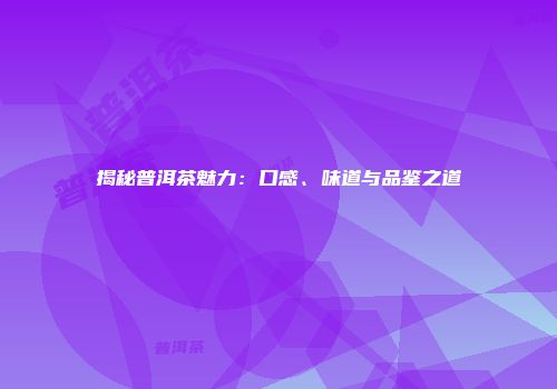 揭秘普洱茶魅力：口感、味道与品鉴之道