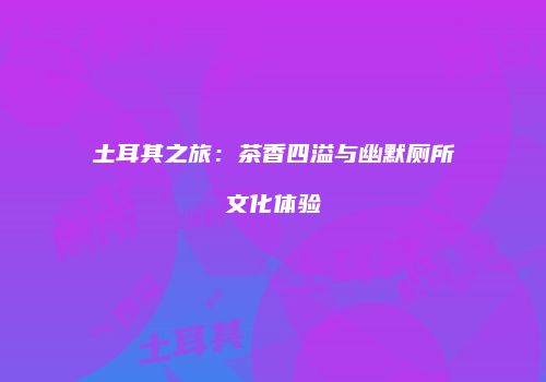 土耳其之旅：茶香四溢与幽默厕所文化体验