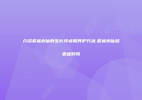 介绍老枞水仙的生长特点和养护方法,老枞水仙越老越好吗