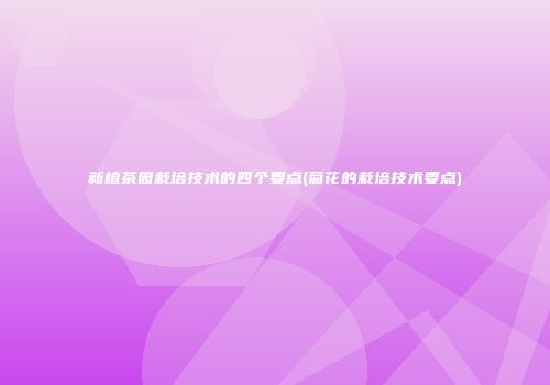 新植茶园栽培技术的四个要点(菊花的栽培技术要点)