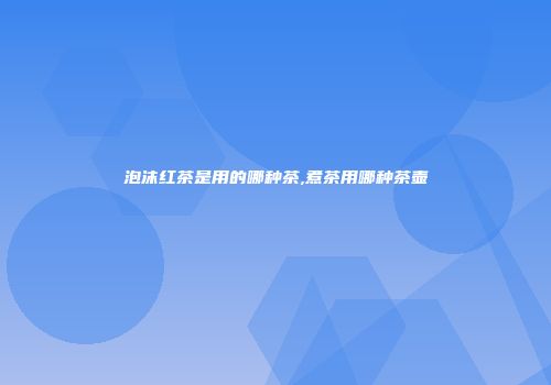 泡沫红茶是用的哪种茶,煮茶用哪种茶壶