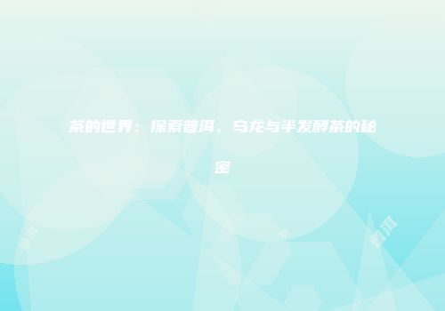 茶的世界：探索普洱、乌龙与半发酵茶的秘密