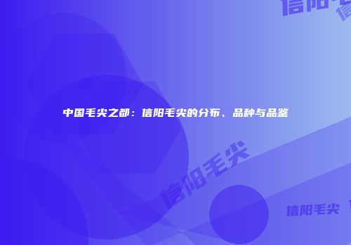 中国毛尖之都：信阳毛尖的分布、品种与品鉴