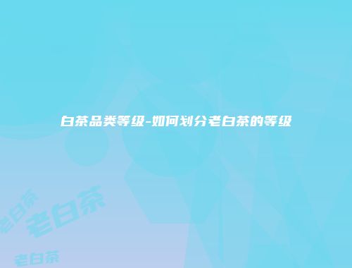 白茶品类等级-如何划分老白茶的等级