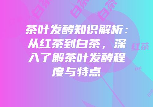 茶叶发酵知识解析：从红茶到白茶，深入了解茶叶发酵程度与特点