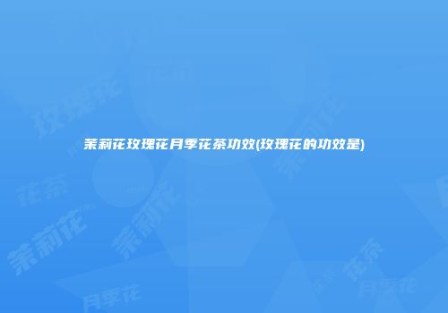 茉莉花玫瑰花月季花茶功效(玫瑰花的功效是)