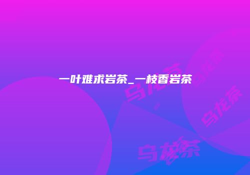 一叶难求岩茶_一枝香岩茶