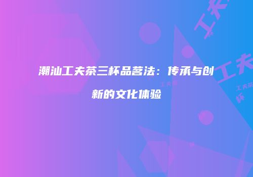 潮汕工夫茶三杯品茗法：传承与创新的文化体验