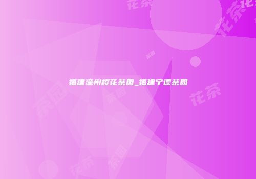 福建漳州樱花茶园_福建宁德茶园