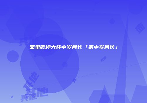 壶里乾坤大杯中岁月长「茶中岁月长」