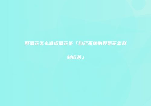 野菊花怎么做成菊花茶「自己采摘的野菊花怎样制成茶」