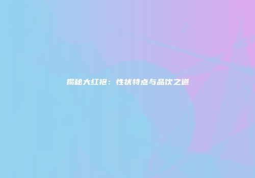 揭秘大红袍：性状特点与品饮之道