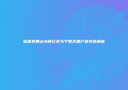 福建武夷山小种红茶与宁德古田产业特色解析