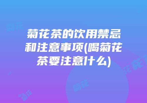菊花茶的饮用禁忌和注意事项(喝菊花茶要注意什么)