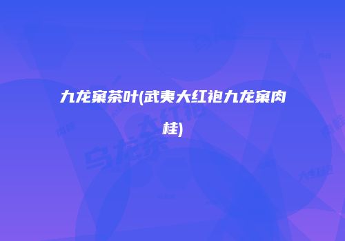 九龙窠茶叶(武夷大红袍九龙窠肉桂)