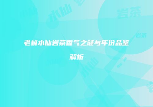 老枞水仙岩茶香气之谜与年份品鉴解析