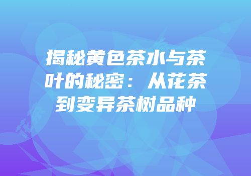 揭秘黄色茶水与茶叶的秘密：从花茶到变异茶树品种