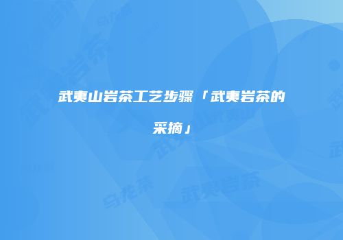 武夷山岩茶工艺步骤「武夷岩茶的采摘」