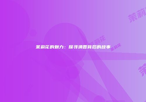 茉莉花的魅力：探寻清香背后的故事