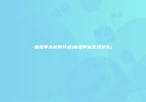 抽湿单丛茶的特点(抽湿单枞是绿茶么)