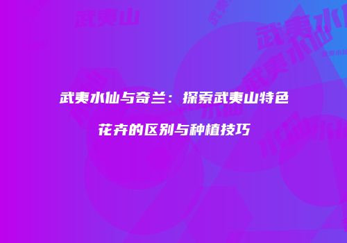 武夷水仙与奇兰：探索武夷山特色花卉的区别与种植技巧
