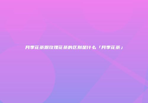月季花茶跟玫瑰花茶的区别是什么「月季花茶」