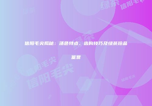信阳毛尖揭秘：汤色特点、选购技巧及绿茶珍品鉴赏