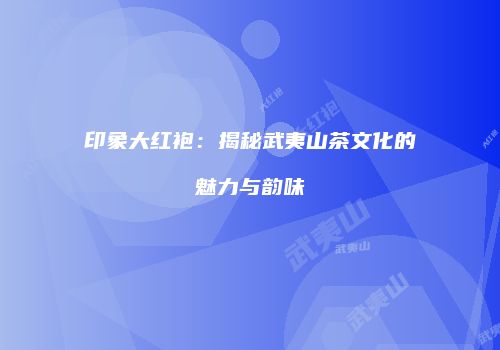 印象大红袍：揭秘武夷山茶文化的魅力与韵味