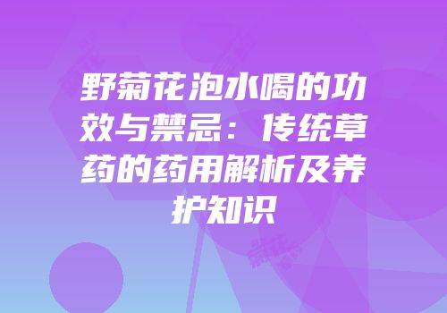 野菊花泡水喝的功效与禁忌：传统草药的药用解析及养护知识