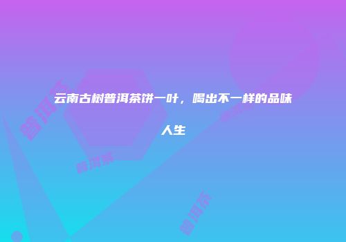 云南古树普洱茶饼一叶，喝出不一样的品味人生