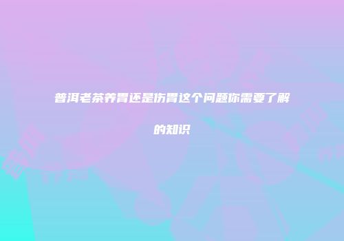 普洱老茶养胃还是伤胃这个问题你需要了解的知识
