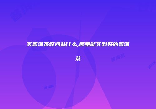 买普洱茶该问些什么,哪里能买到好的普洱茶