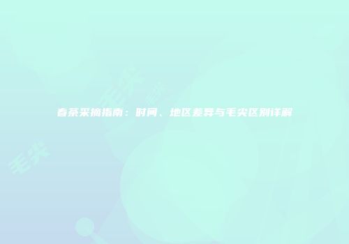 春茶采摘指南：时间、地区差异与毛尖区别详解
